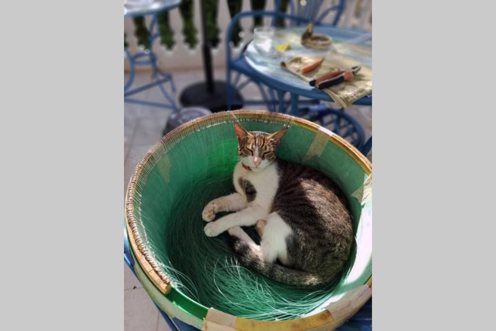 Ueber Den Daechern Von Koroni Esterno foto